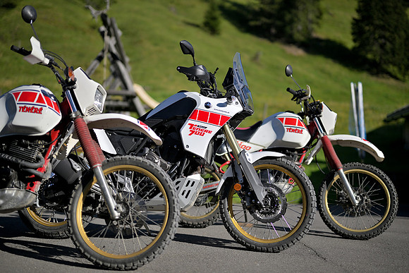 GOD_0958_toc_camp_200__fotopower_2023