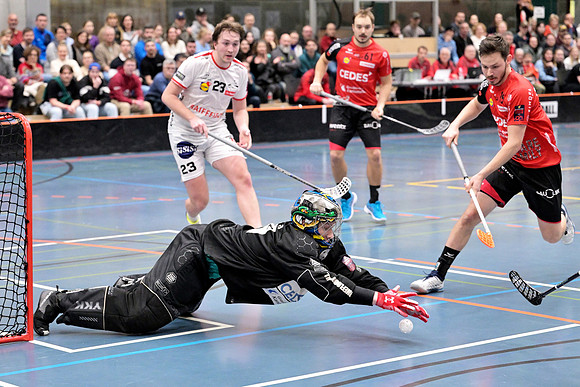 GOD_7713_Aligator_Malans_Chur_006__fotopower_2024