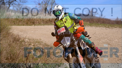 GOD_7191_Romagna Trophy_sa_073__fotopower_2024