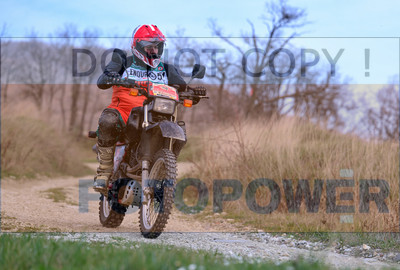 GOD_7256_Romagna Trophy_sa_084__fotopower_2024
