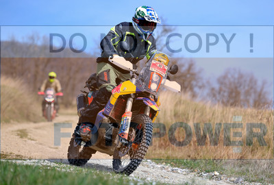 GOD_7365_Romagna Trophy_sa_096__fotopower_2024-topaz