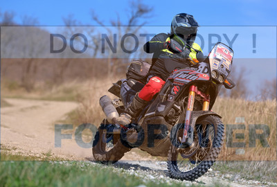 GOD_7787_Romagna Trophy_partecipanti_331__fotopower_2024