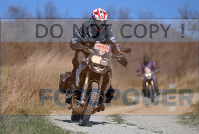 GOD_7860_Romagna Trophy_partecipanti_352__fotopower_2024