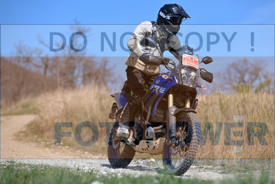 GOD_7968_Romagna Trophy_partecipanti_378__fotopower_2024