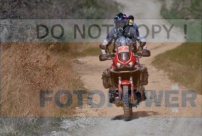 GOD_7996_Romagna Trophy_partecipanti_384__fotopower_2024