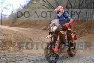 GOD_8153_Romagna Trophy_partecipanti_412__fotopower_2024