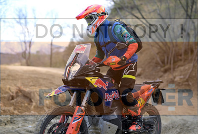 GOD_8155_Romagna Trophy_partecipanti_413__fotopower_2024