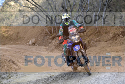 GOD_8169_Romagna Trophy_partecipanti_414__fotopower_2024
