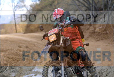 GOD_8191_Romagna Trophy_partecipanti_417__fotopower_2024