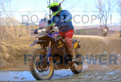 GOD_8220_Romagna Trophy_partecipanti_421__fotopower_2024-topaz