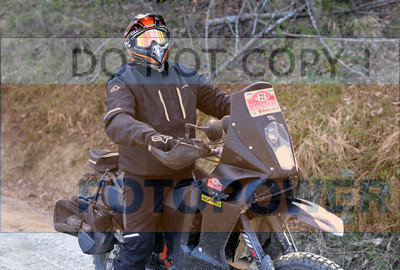 GOD_8320_Romagna Trophy_partecipanti_440__fotopower_2024