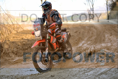 GOD_8349_Romagna Trophy_partecipanti_444__fotopower_2024