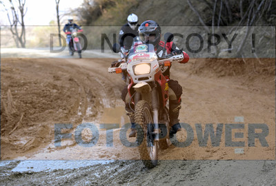 GOD_8383_Romagna Trophy_partecipanti_452__fotopower_2024