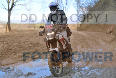 GOD_8574_Romagna Trophy_partecipanti_479__fotopower_2024