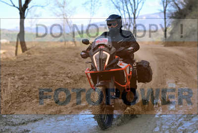 GOD_8625_Romagna Trophy_partecipanti_490__fotopower_2024