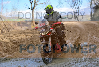 GOD_8295_Romagna Trophy_partecipanti_434__fotopower_2024