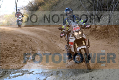 GOD_8396_Romagna Trophy_partecipanti_455__fotopower_2024