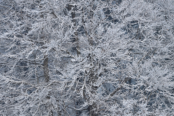G21_4690_01